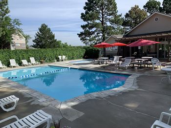 Pool with sundeck and chaise lounges